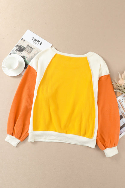 Colorwave Comfort Sweatshirt